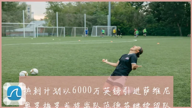 热刺计划以6000万英镑引进萨维尼奥罗梅罗或将离队范德芬继续留队